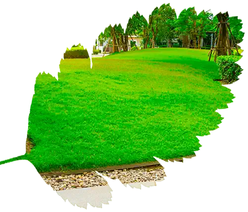 Beauty & Green Care Landscaping Inc.