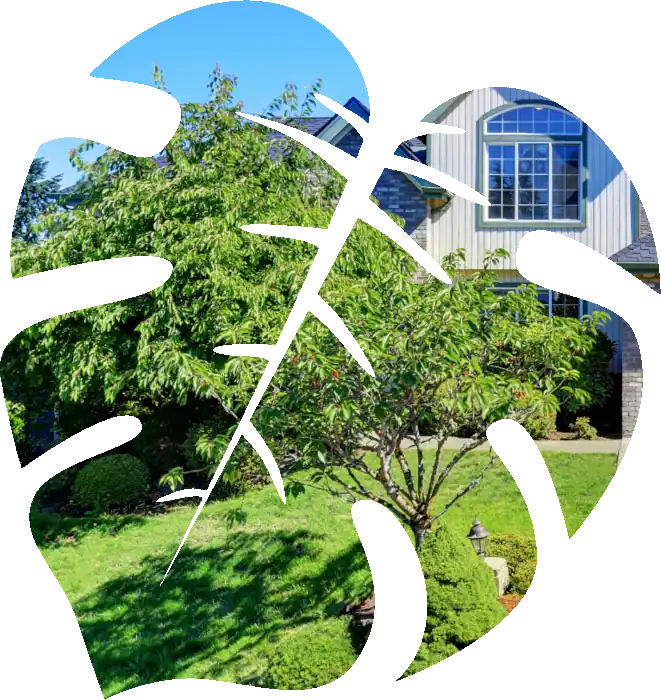 Beauty & Green Care Landscaping Inc.