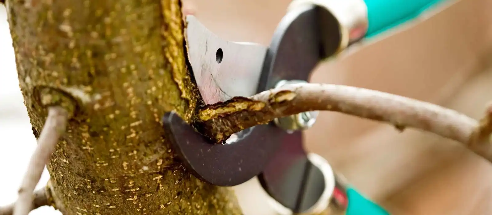 We Focus On Solutions