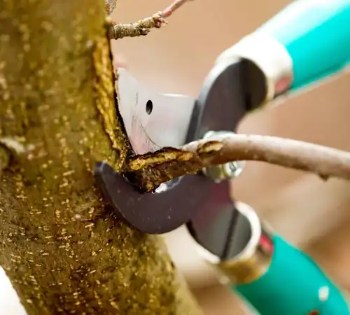 We Focus On Solutions